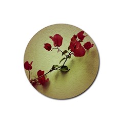 Santa Rita Flower In Warm Colors Wall Photo Rubber Coaster (round) by dflcprints