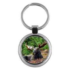 Majestic Moose Key Chain (round) by StuffOrSomething