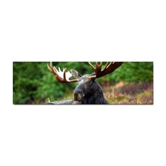 Majestic Moose Bumper Sticker by StuffOrSomething