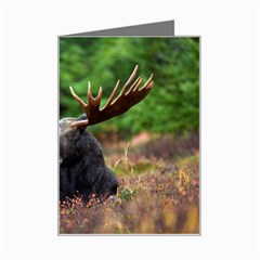 Majestic Moose Mini Greeting Card by StuffOrSomething