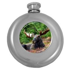 Majestic Moose Hip Flask (round) by StuffOrSomething
