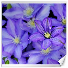 Purple Wildflowers For Fms Canvas 16  X 16  (unframed) by FunWithFibro