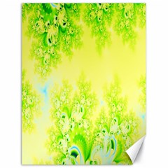 Sunny Spring Frost Fractal Canvas 18  X 24  (unframed) by Artist4God