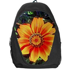 Flower In A Parking Lot Backpack Bag