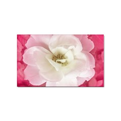 White Rose With Pink Leaves Around  Sticker 10 Pack (rectangle) by dflcprints