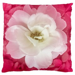 White Rose With Pink Leaves Around  Large Cushion Case (single Sided)  by dflcprints