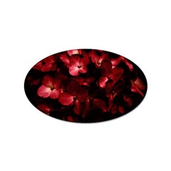 Red Flowers Bouquet In Black Background Photography Sticker (oval) by dflcprints
