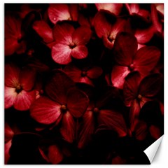 Red Flowers Bouquet In Black Background Photography Canvas 16  X 16  (unframed) by dflcprints