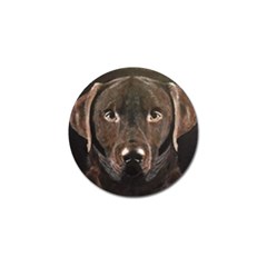 Chocolate Lab Golf Ball Marker 4 Pack by LabsandRetrievers