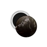 Black Lab 1.75  Button Magnet Front