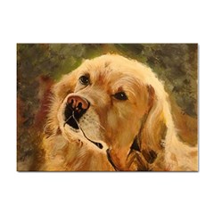 Golden Retriever A4 Sticker 10 Pack by LabsandRetrievers