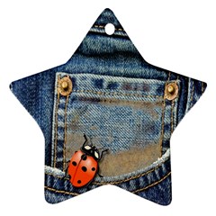 Blue Jean Lady Bug Star Ornament by TheWowFactor