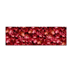 Warm Floral Collage Print Bumper Sticker 100 Pack by dflcprints