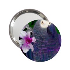 African Grey Parrot Handbag Mirror (2 25 ) by JulianneOsoskeFeathers