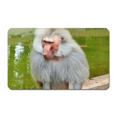 Grey Monkey Macaque Magnet (rectangular)