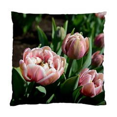 Tulips Cushion Case (two Sided) 