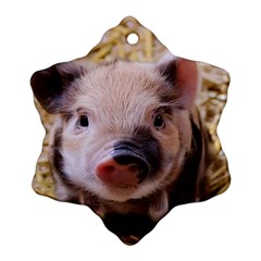 Sweet Piglet Ornament (snowflake) 