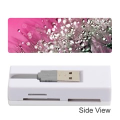 Dandelion 2015 0709 Memory Card Reader (stick) 