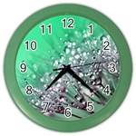 Dandelion 2015 0718 Color Wall Clocks