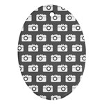 Modern Chic Vector Camera Illustration Pattern Oval Ornament (Two Sides)