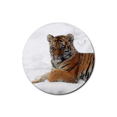 Tiger 2015 0101 Rubber Round Coaster (4 Pack)  by JAMFoto