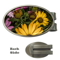 Beautiful Colourful African Daisies  Money Clips (oval)  by OZMedia