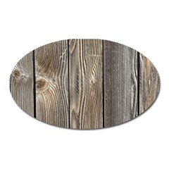 Wood Fence Oval Magnet by trendistuff