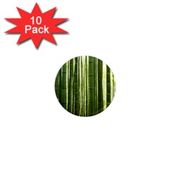 Bamboo Grove 2 1  Mini Magnet (10 Pack)  by trendistuff