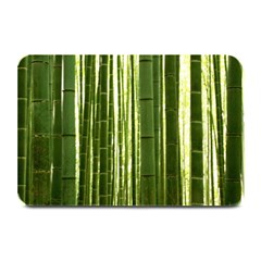 Bamboo Grove 2 Plate Mats by trendistuff