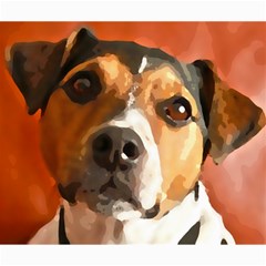 Jack Russell Terrier Canvas 20  X 24   by Rowdyjrt