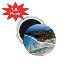 Whitehaven Beach 1 1 75  Magnets (100 Pack)  by trendistuff