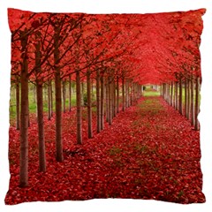 Avenue Of Trees Large Flano Cushion Cases (two Sides)  by trendistuff