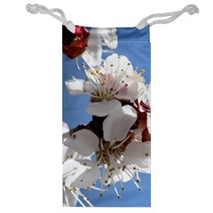 Apricot Blossoms Jewelry Bags by trendistuff