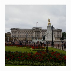 Buckingham Palace Medium Glasses Cloth (2-side) by trendistuff