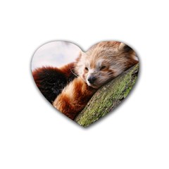 Red Panda Rubber Coaster (heart)  by trendistuff