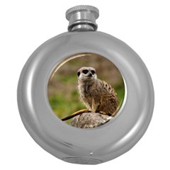 Meerkat Round Hip Flask (5 Oz) by trendistuff