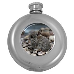 Small Baby Bunny Round Hip Flask (5 Oz) by trendistuff