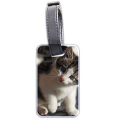Questioning Kitty Luggage Tags (two Sides) by trendistuff