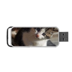 Questioning Kitty Portable Usb Flash (one Side) by trendistuff