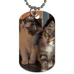 Cute Kitties Dog Tag (one Side) by trendistuff