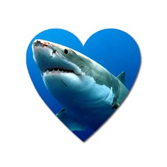 Great White Shark 3 Heart Magnet by trendistuff