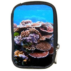 Coral Outcrop 2 Compact Camera Cases by trendistuff