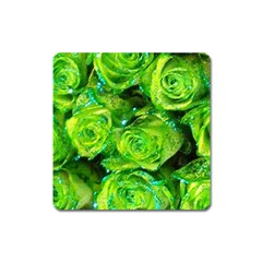 Festive Green Glitter Roses Valentine Love  Square Magnet by yoursparklingshop