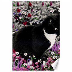 Freckles In Flowers Ii, Black White Tux Cat Canvas 12  X 18   by DianeClancy