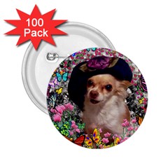 Chi Chi In Butterflies, Chihuahua Dog In Cute Hat 2 25  Buttons (100 Pack)  by DianeClancy