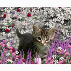 Emma In Flowers I, Little Gray Tabby Kitty Cat Canvas 16  X 20   by DianeClancy