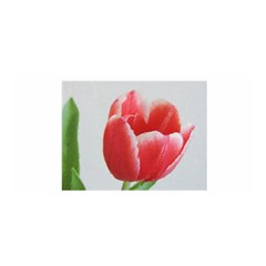 Red Tulip Watercolor Painting Satin Wrap by picsaspassion