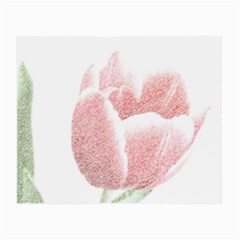 Red Tulip Pencil Drawing Small Glasses Cloth