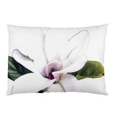 White Magnolia Pencil Drawing Art Pillow Case by picsaspassion