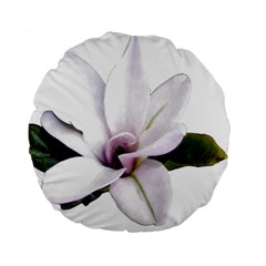 Magnolia Wit Aquarel Painting Art Standard 15  Premium Flano Round Cushions by picsaspassion